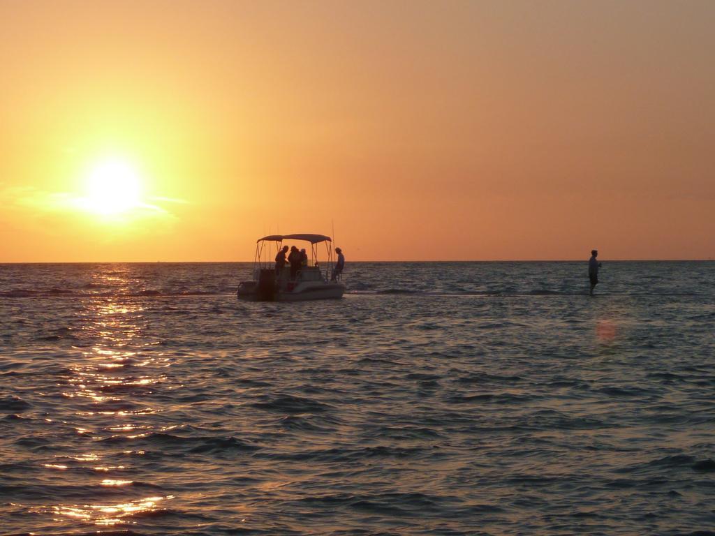 1/1 Bed&Bath Condos 5 Min Drive To Siesta Sarasota Exterior foto